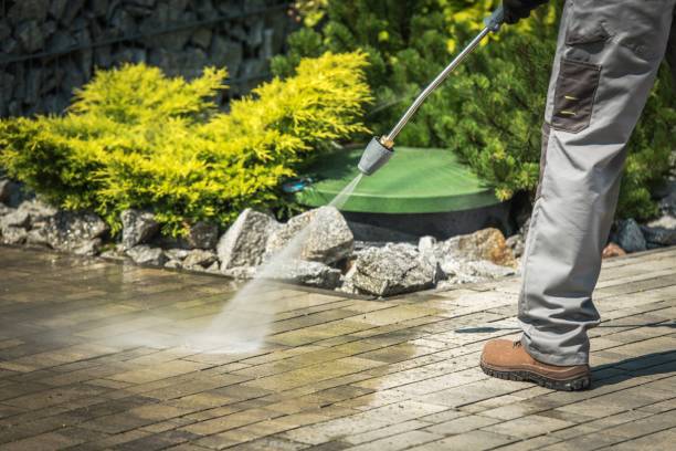 Best Animal Enclosure Cleaning  in Hwatha, IA