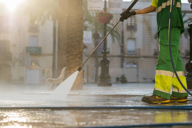 Best Gutter Cleaning  in Hwatha, IA